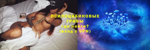 а пвп мука Алзамай