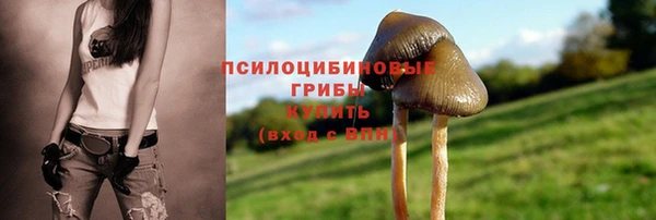 гидропоника Абдулино