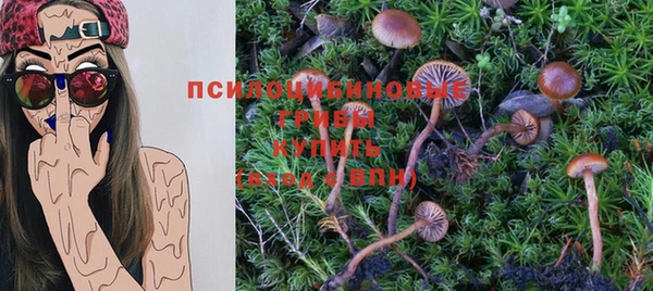 героин Алексин